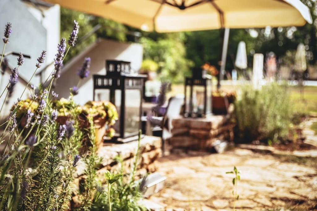 Luxury Villa Cetiri Hrasta Pican Екстер'єр фото