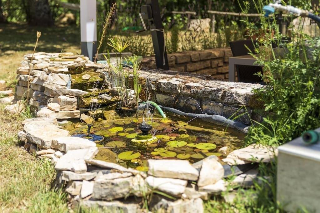 Luxury Villa Cetiri Hrasta Pican Екстер'єр фото