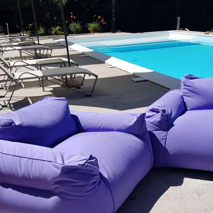 Luxury Villa Cetiri Hrasta Pican Екстер'єр фото