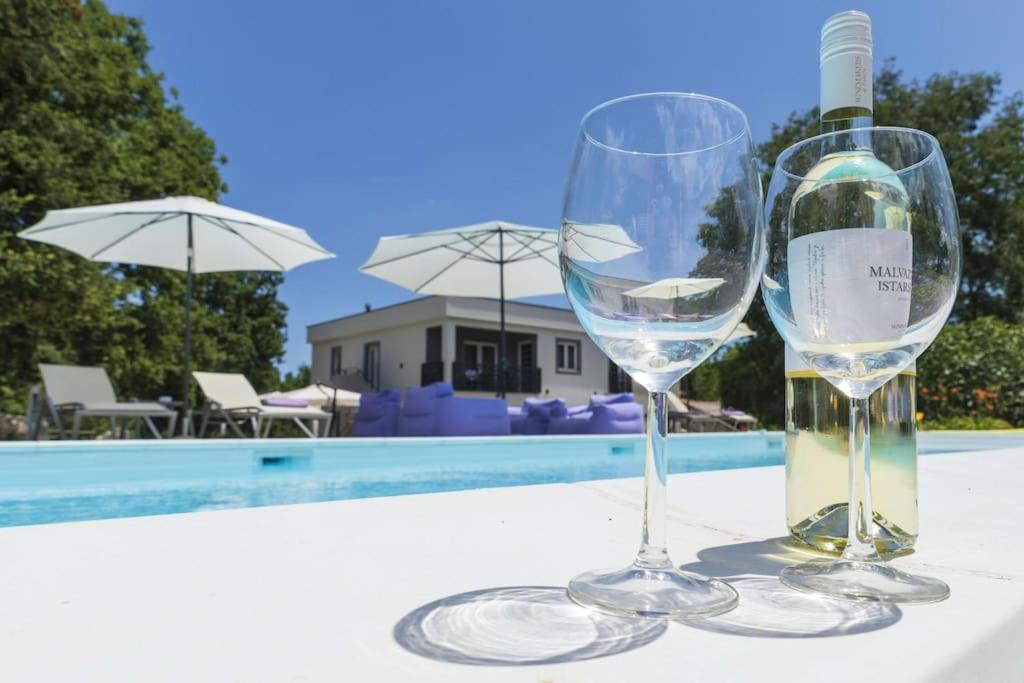 Luxury Villa Cetiri Hrasta Pican Екстер'єр фото