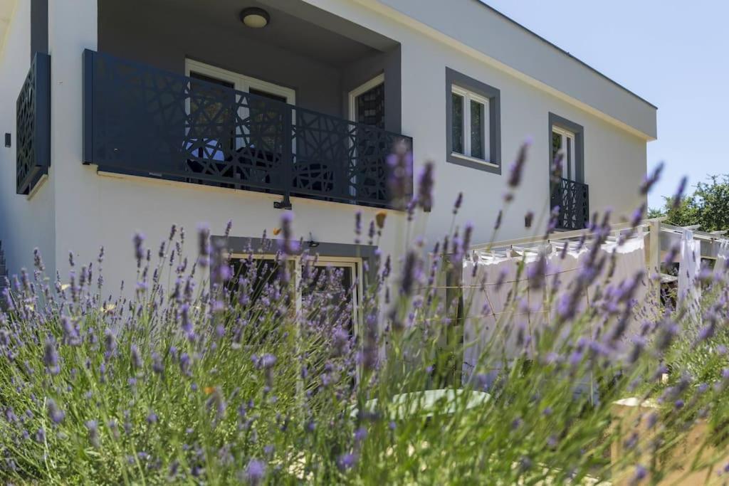 Luxury Villa Cetiri Hrasta Pican Екстер'єр фото