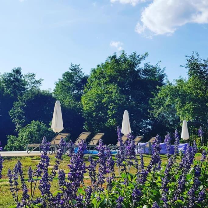 Luxury Villa Cetiri Hrasta Pican Екстер'єр фото